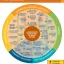 Title IX Student Resource Wheel