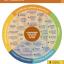 Title IX Resources for University of Texas at Austin Students 